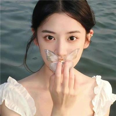 越狱第五季